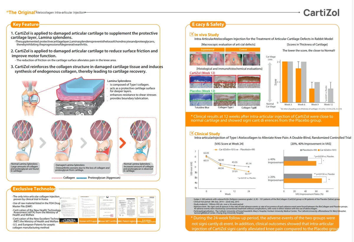 CartiZol information sheet: key features, in vivo study, clinical study and certifications